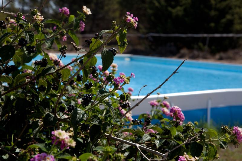 Club Esse Gallura Beach Village - Havuz
