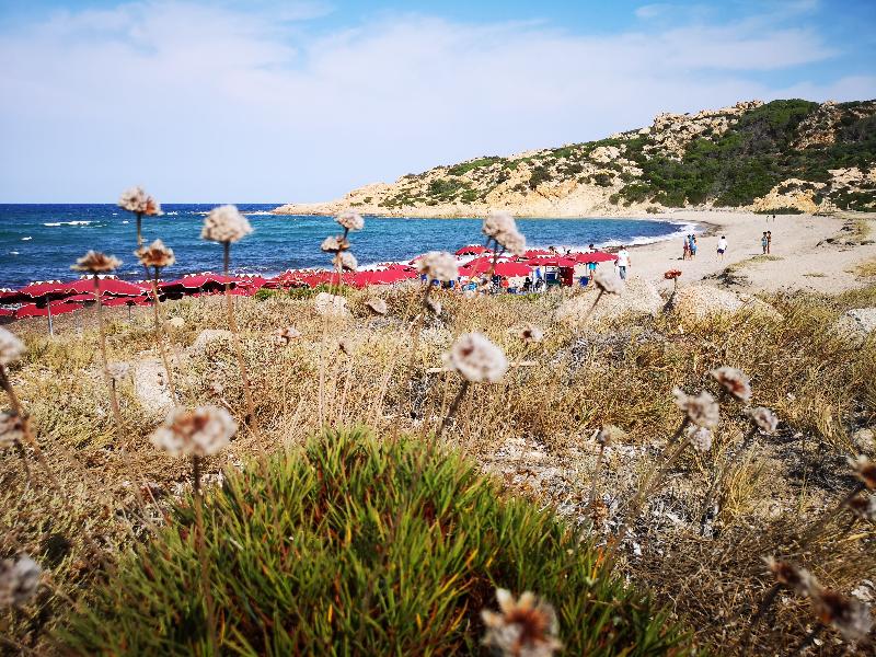 Club Esse Gallura Beach Village - Plaj