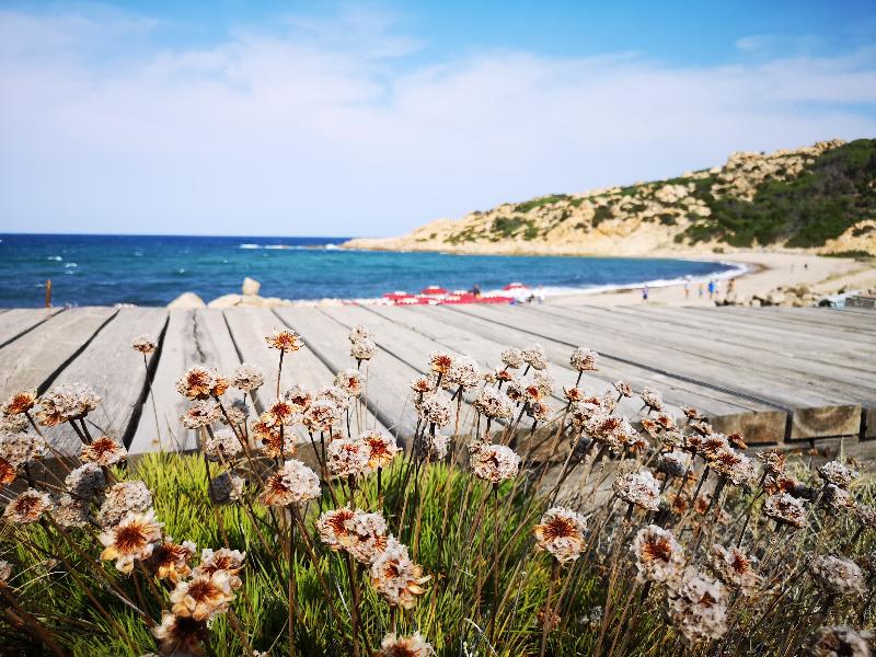 Club Esse Gallura Beach Village - Plaj
