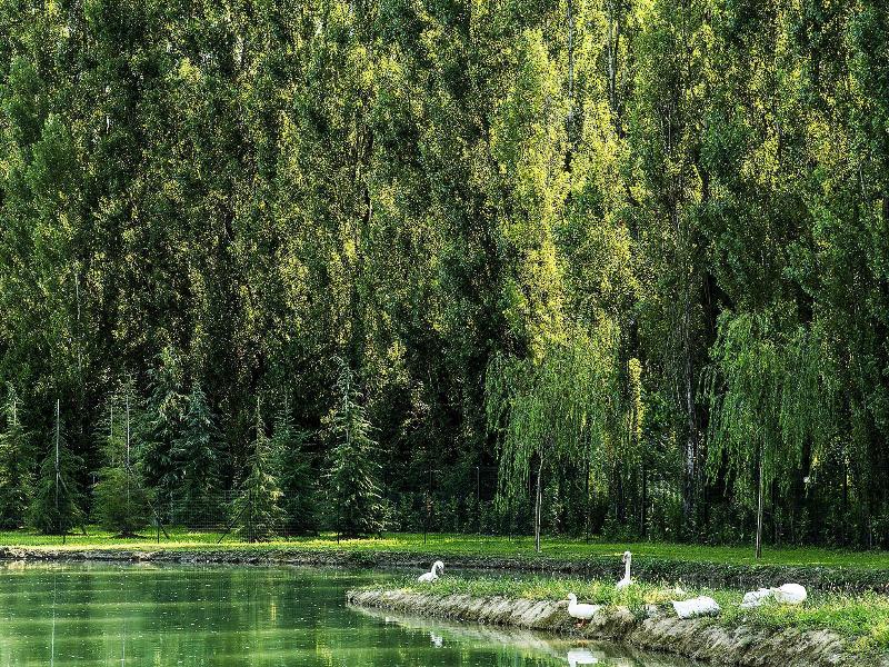 AN Park Hotel Milano Settala - Genel
