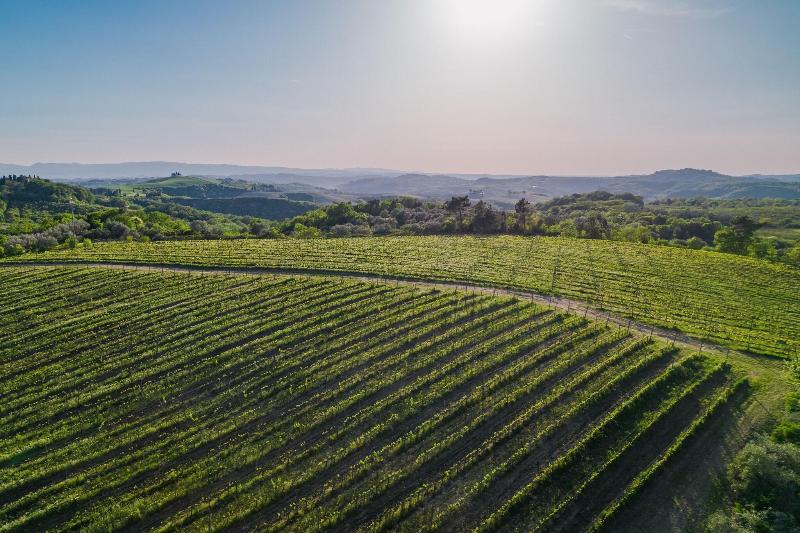Castelfalfi - Genel