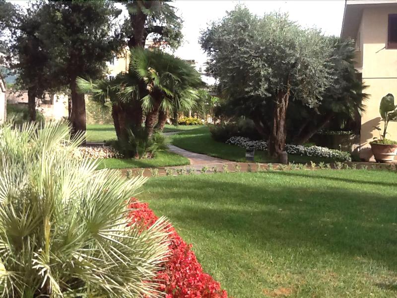 Villa Crawford - Genel