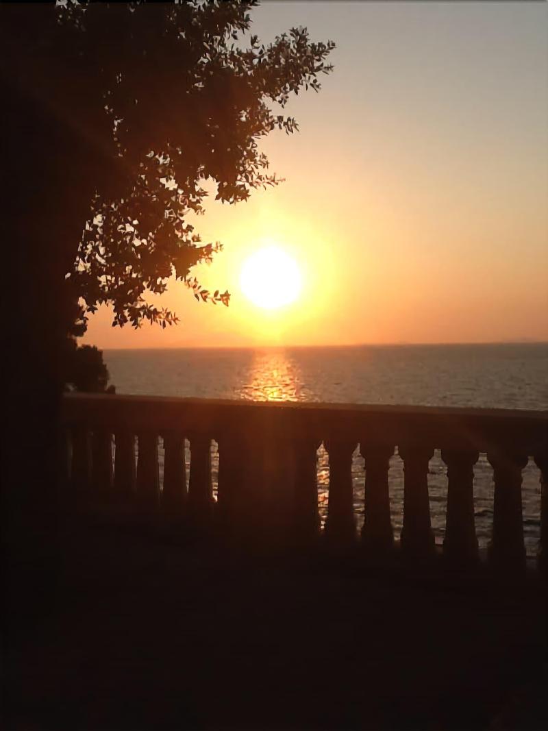 Villa Crawford - Genel
