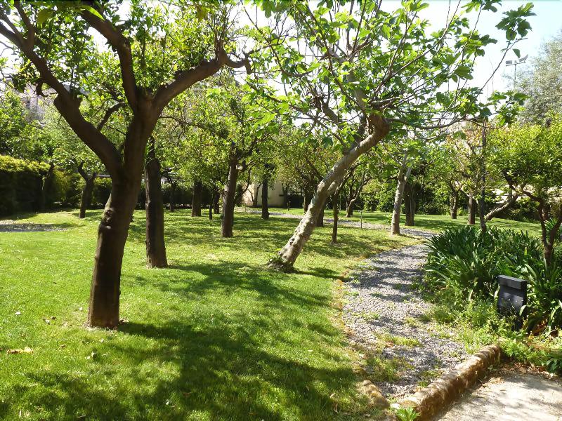 Villa Crawford - Genel