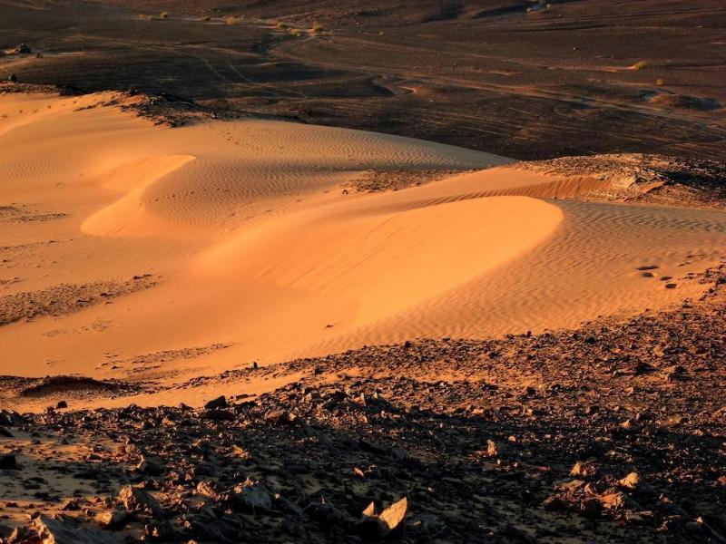 La Vallee Des Dunes - Genel
