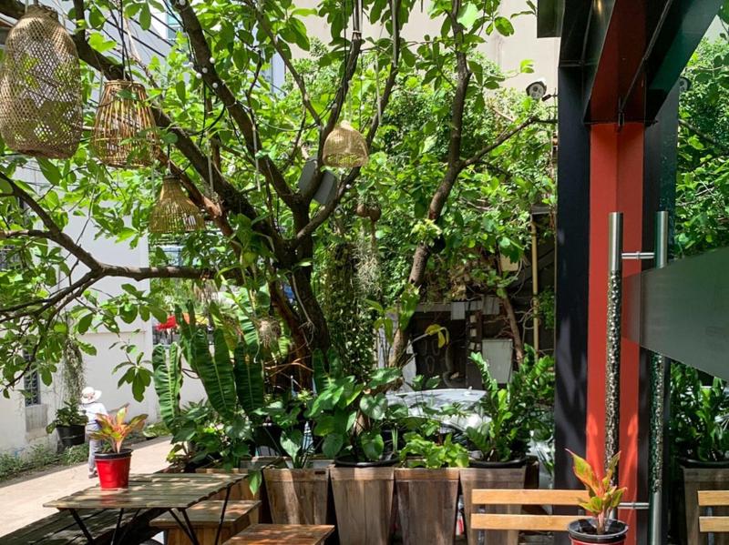 Aspira D'Andora Sukhumvit 16 - Teras
