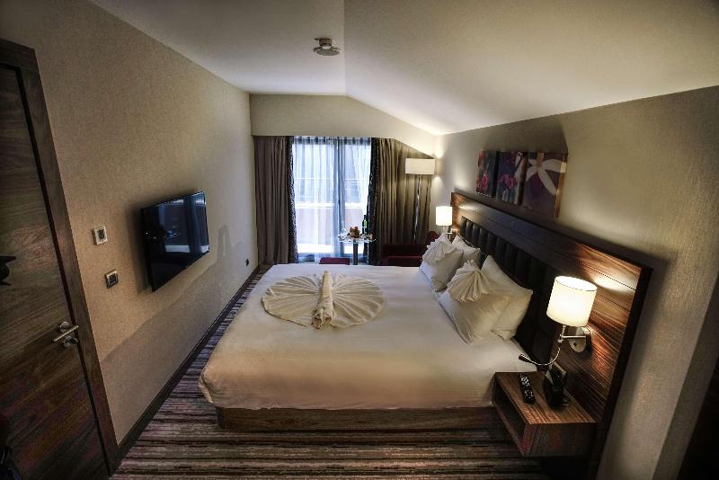 Hilton Garden Inn Eskisehir - Oda