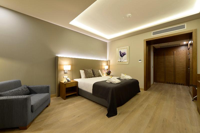Holiday Inn BURSA - ŞEHIR MERKEZI by IHG - Oda