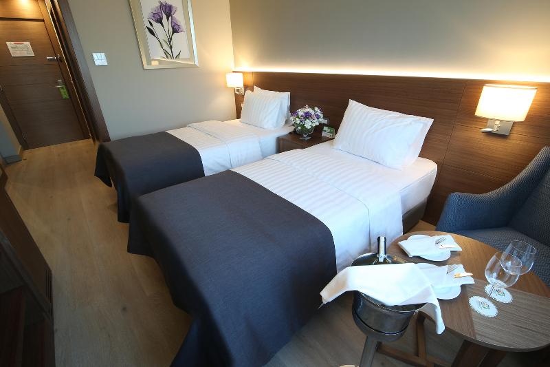Holiday Inn BURSA - ŞEHIR MERKEZI by IHG - Oda
