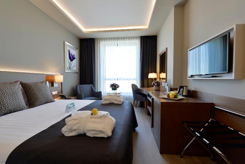 Holiday Inn BURSA - ŞEHIR MERKEZI by IHG - Oda