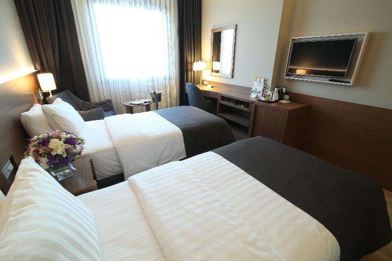 Holiday Inn BURSA - ŞEHIR MERKEZI by IHG - Oda