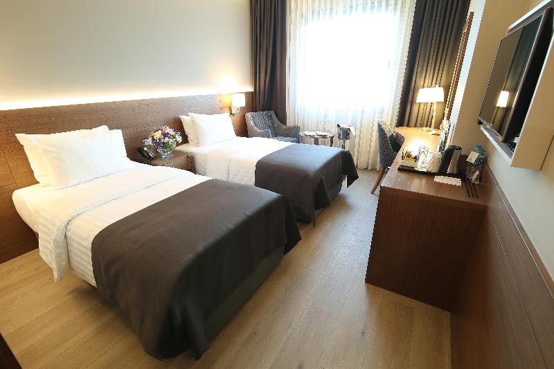 Holiday Inn BURSA - ŞEHIR MERKEZI by IHG - Oda