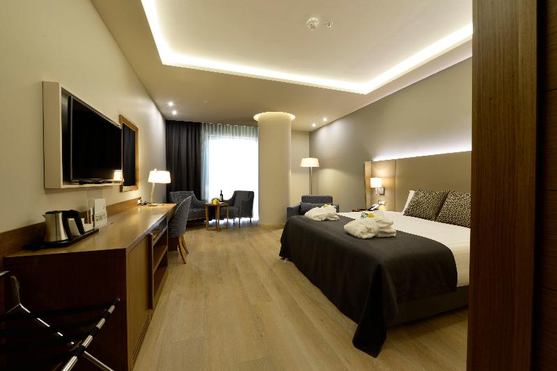 Holiday Inn BURSA - ŞEHIR MERKEZI by IHG - Oda