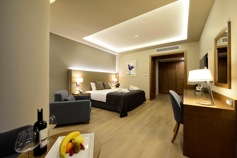 Holiday Inn BURSA - ŞEHIR MERKEZI by IHG - Oda