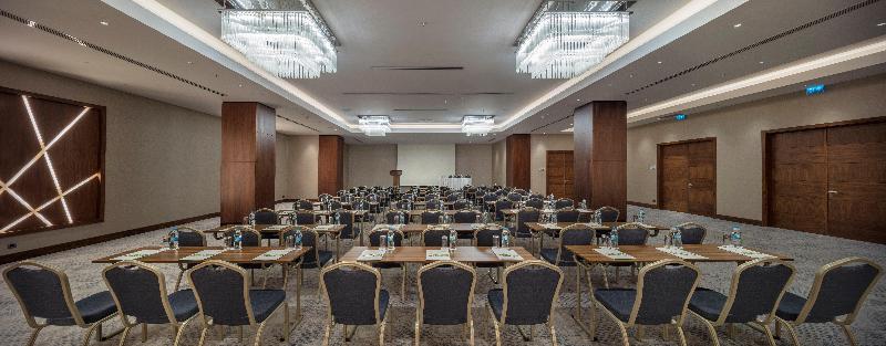 Holiday Inn İSTANBUL - TUZLA KÖRFEZI by IHG - Toplantı