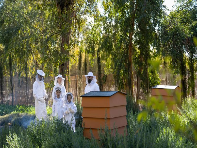 Mandarin Oriental Marrakech - Aktivite