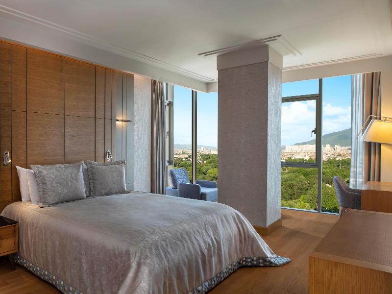 Movenpick Hotel & Thermal Spa Bursa - Oda