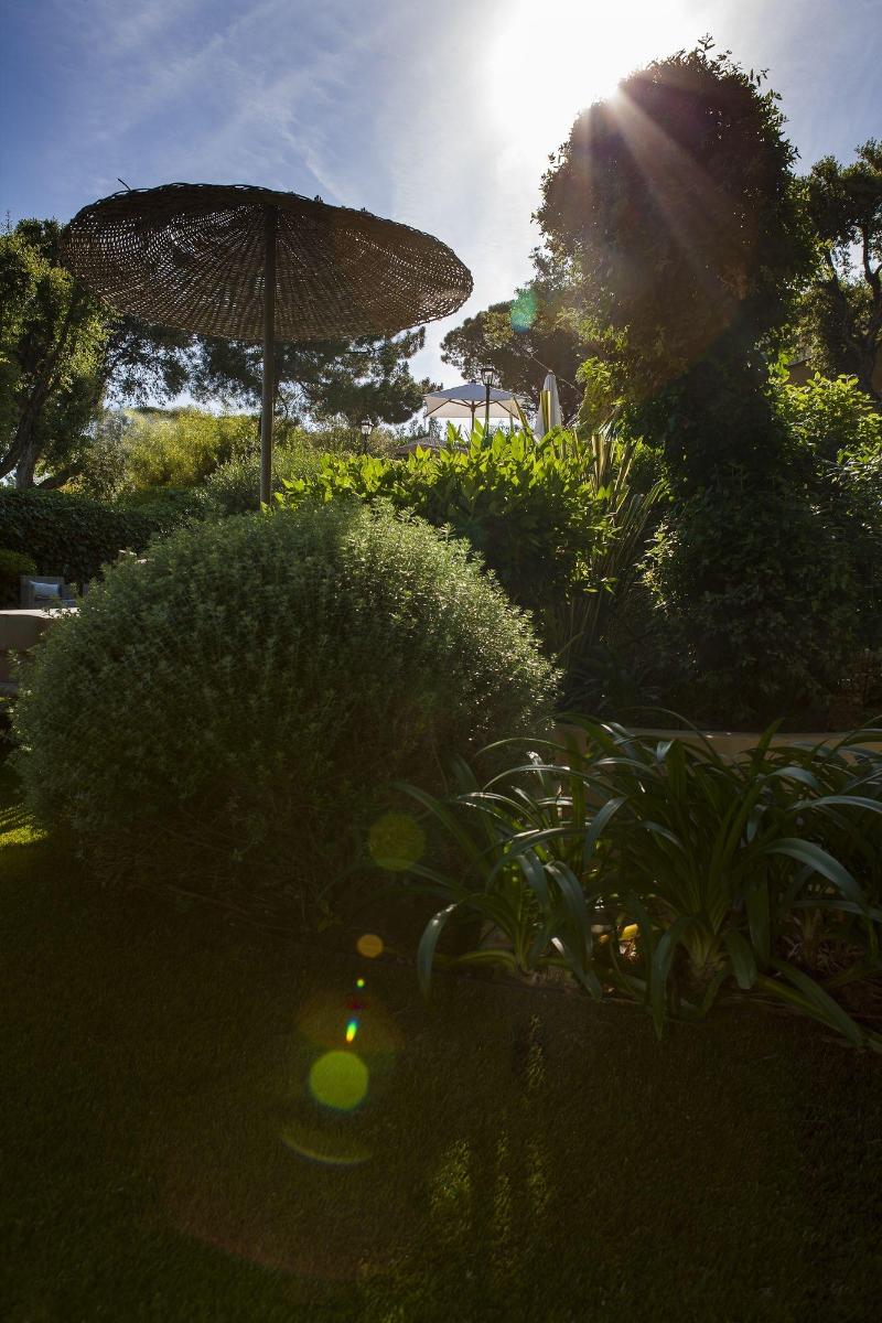 La Bastide D'Antoine - Genel