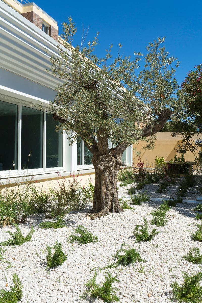 Operalia Hotel Les Pins - Genel