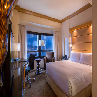 New York Hilton Midtown fotoÄŸrafÄ±
