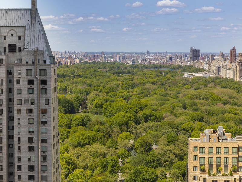 Thompson Central Park New York - Oda