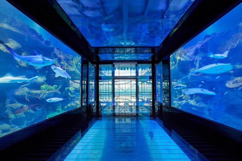 Autograph Collection Paragraph Resort & Spa,Shekve - Genel