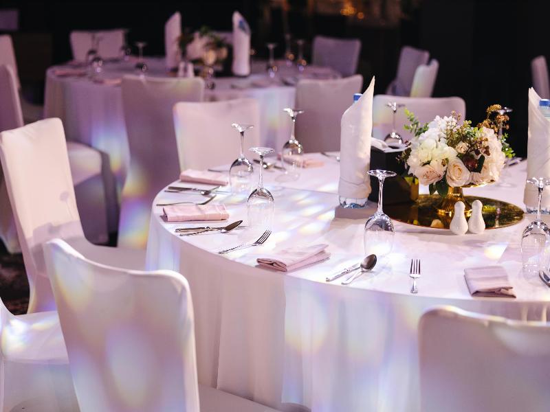 Radisson Blu Hotel Dubai Waterfront - Toplantı