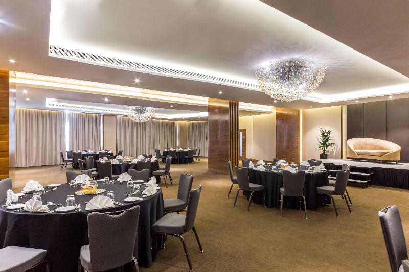 Radisson Blu Hotel Dubai Waterfront - Toplantı