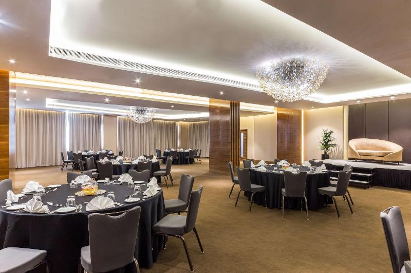 Radisson Blu Hotel Dubai Waterfront - Toplantı