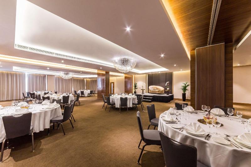 Radisson Blu Hotel Dubai Waterfront - Toplantı