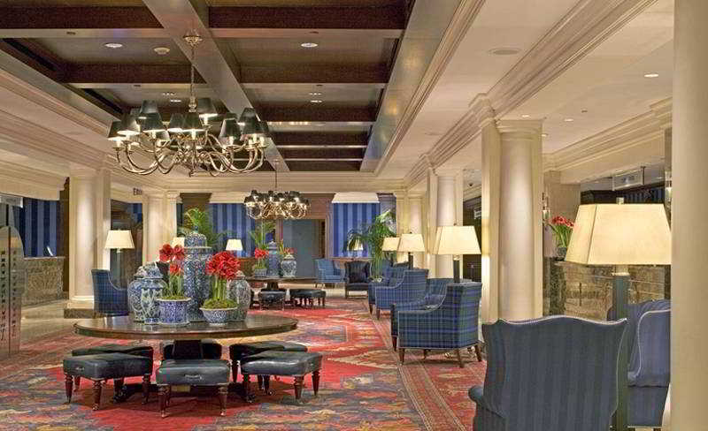 Sheraton New York Times Square Hotel fotoÄŸrafÄ±