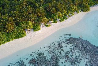 Plumeria Maldives fotoÄŸrafÄ±