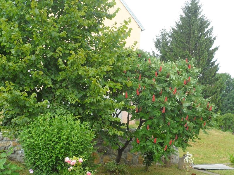 Apartments Rendulic - Genel