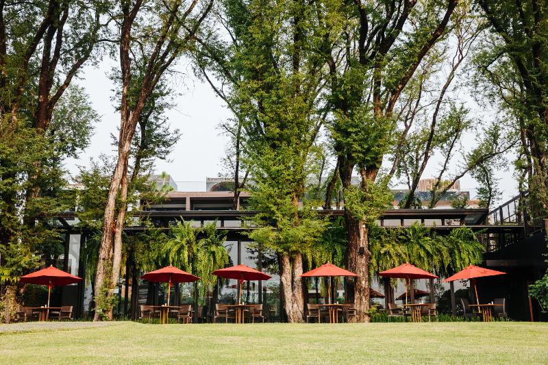 Cross Chiang Mai Riverside - Bar