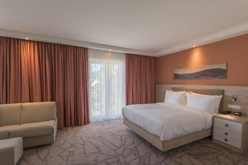 Hampton by Hilton Freiburg - Oda