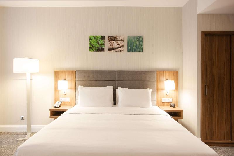 Hilton Garden Inn Bucharest Old Town - Oda