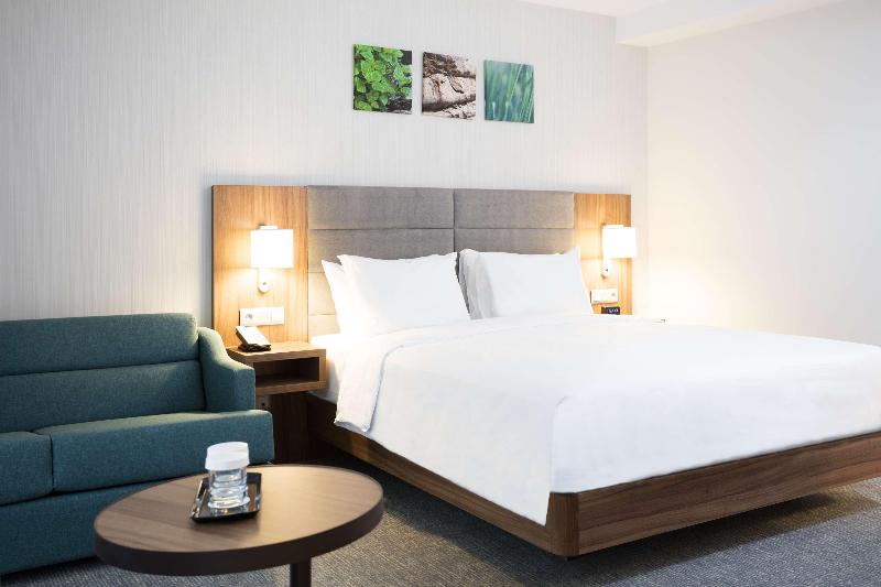 Hilton Garden Inn Bucharest Old Town - Oda
