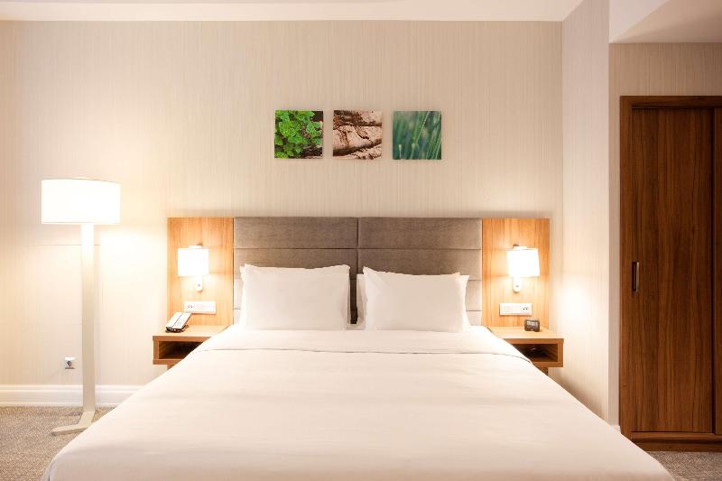 Hilton Garden Inn Bucharest Old Town - Oda