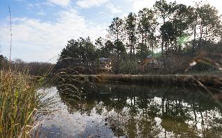 Center Parcs Le Bois aux Daims otel fotoğrafı