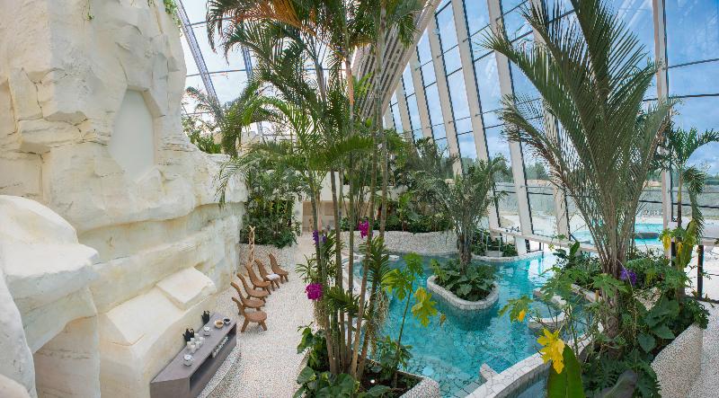 Center Parcs Le Bois aux Daims - Havuz