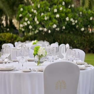 Raffles The Palm Dubai fotoÄŸrafÄ±