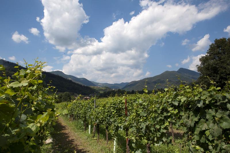 Podere Castel Merlo Resort - Genel