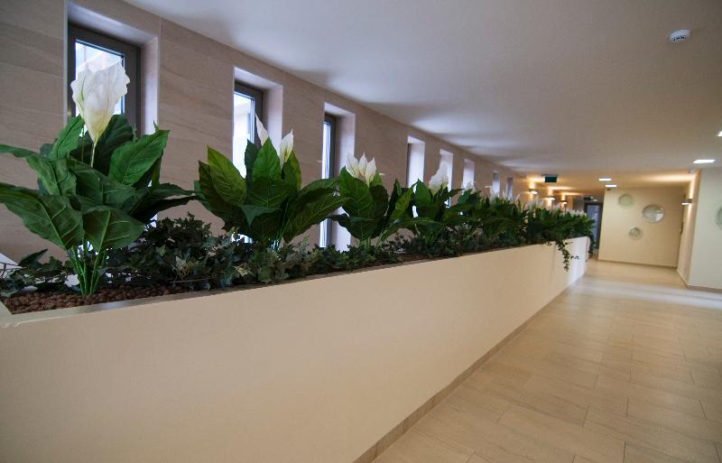 Corvin Center Suites - Genel