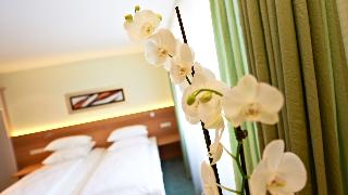 Hotel Hirsch fotoÄŸrafÄ±