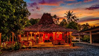 Ubud Heaven Sayan fotoÄŸrafÄ±