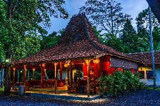 Ubud Heaven Sayan fotoÄŸrafÄ±