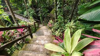 Ubud Heaven Sayan fotoÄŸrafÄ±