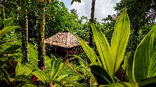 Ubud Heaven Sayan fotoÄŸrafÄ±