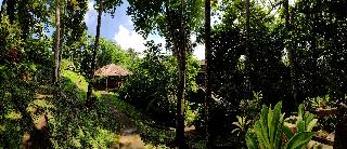 Ubud Heaven Sayan fotoÄŸrafÄ±