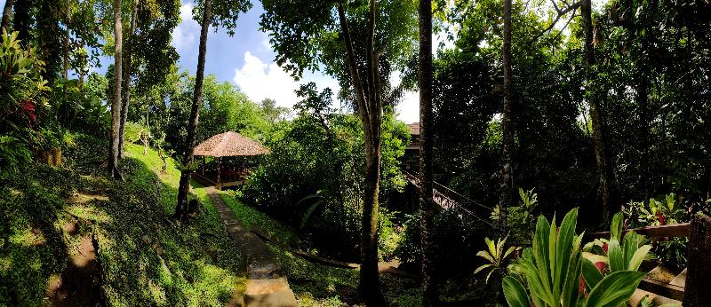 Ubud Heaven Sayan - Genel